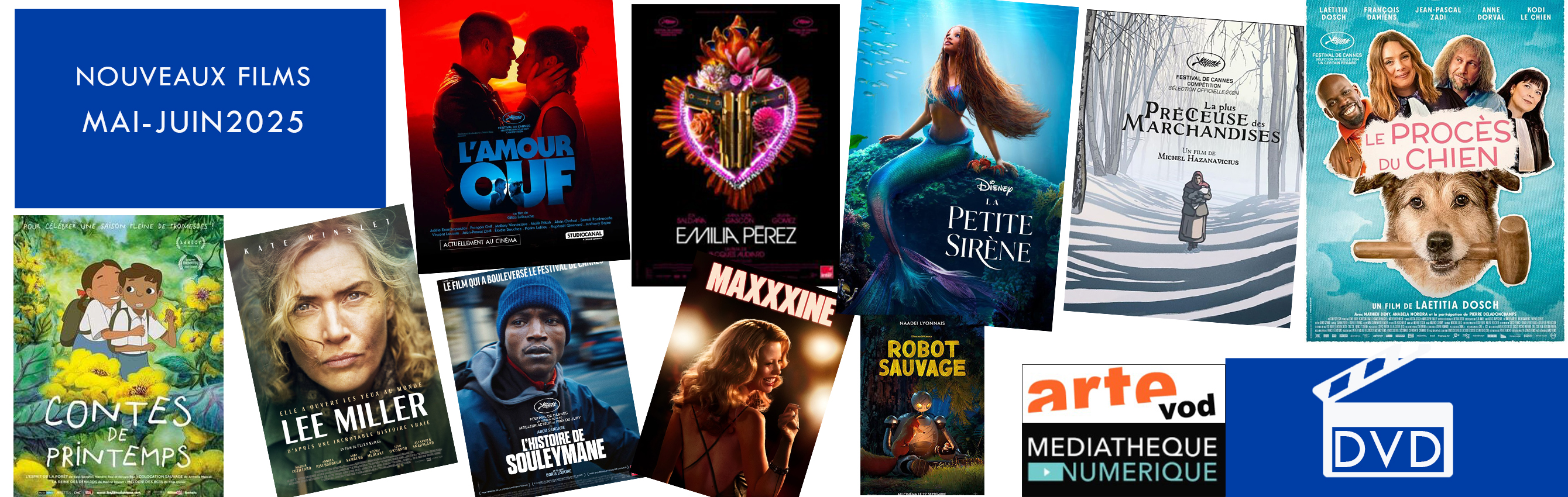 Les nouveaux films MAI-JUIN 2025